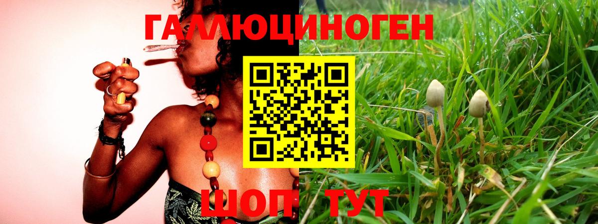 Екатеринбург  Галлюциногенные грибы Psilocybe  Псилоцибиновые грибы Magic Shrooms  Вход с VPN 